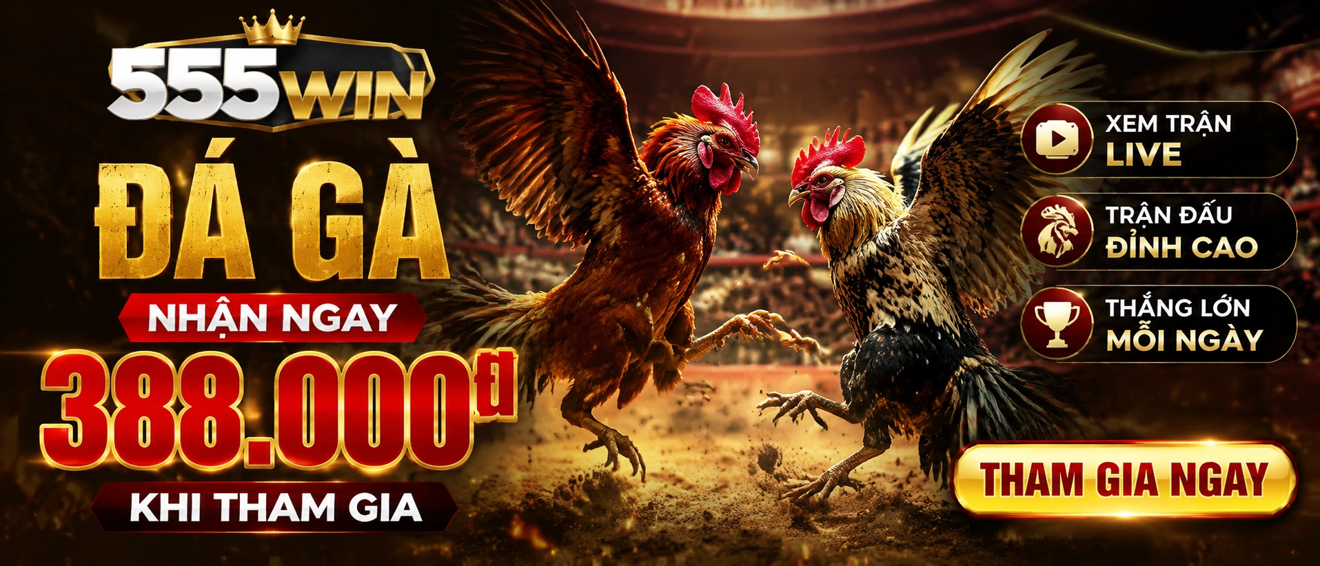 Liên hệ 555win.com.bz | Hỗ trợ casino, nổ hũ 20 555win poker banner 2